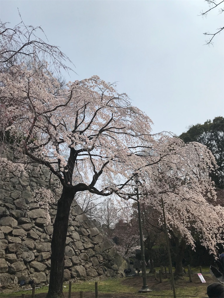 f:id:maskcat:20180329192524j:image