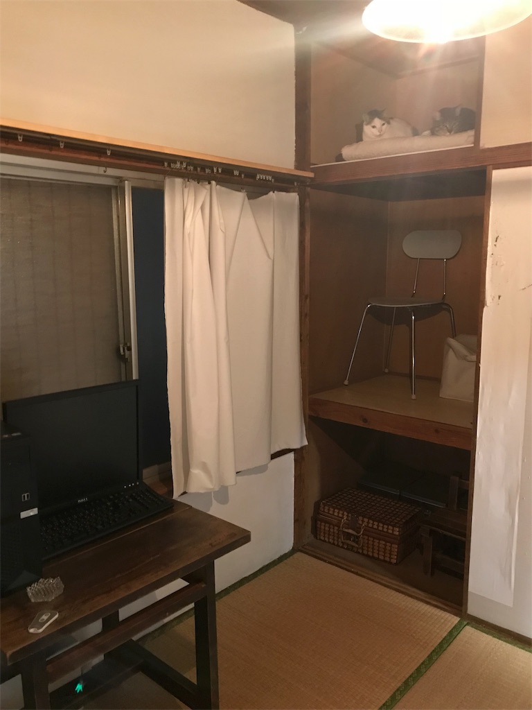 f:id:maskcat:20180405213244j:image