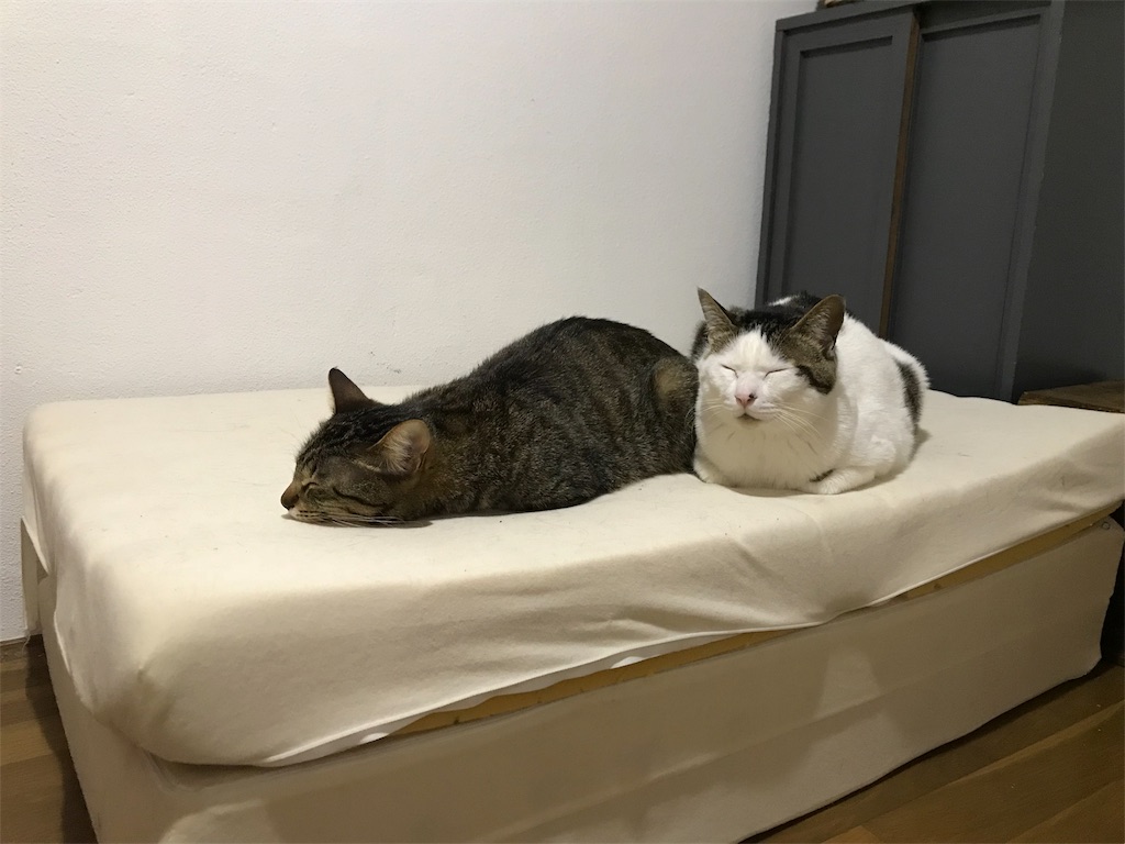 f:id:maskcat:20180408095255j:image