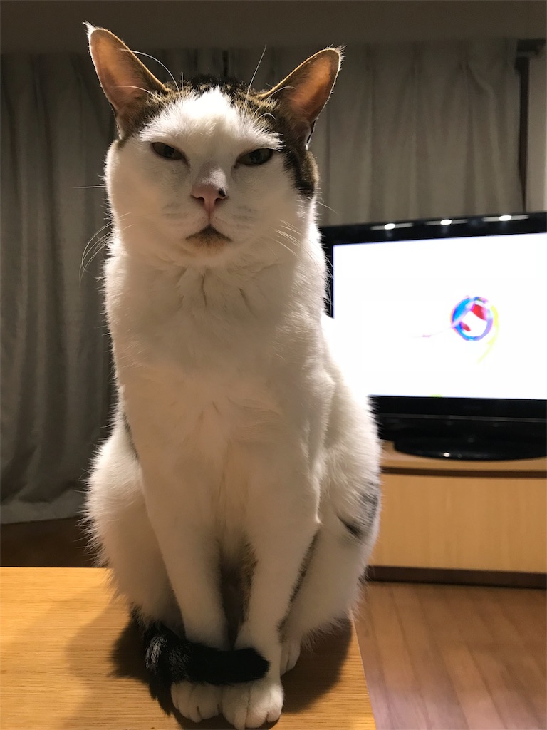 f:id:maskcat:20180530122738j:image