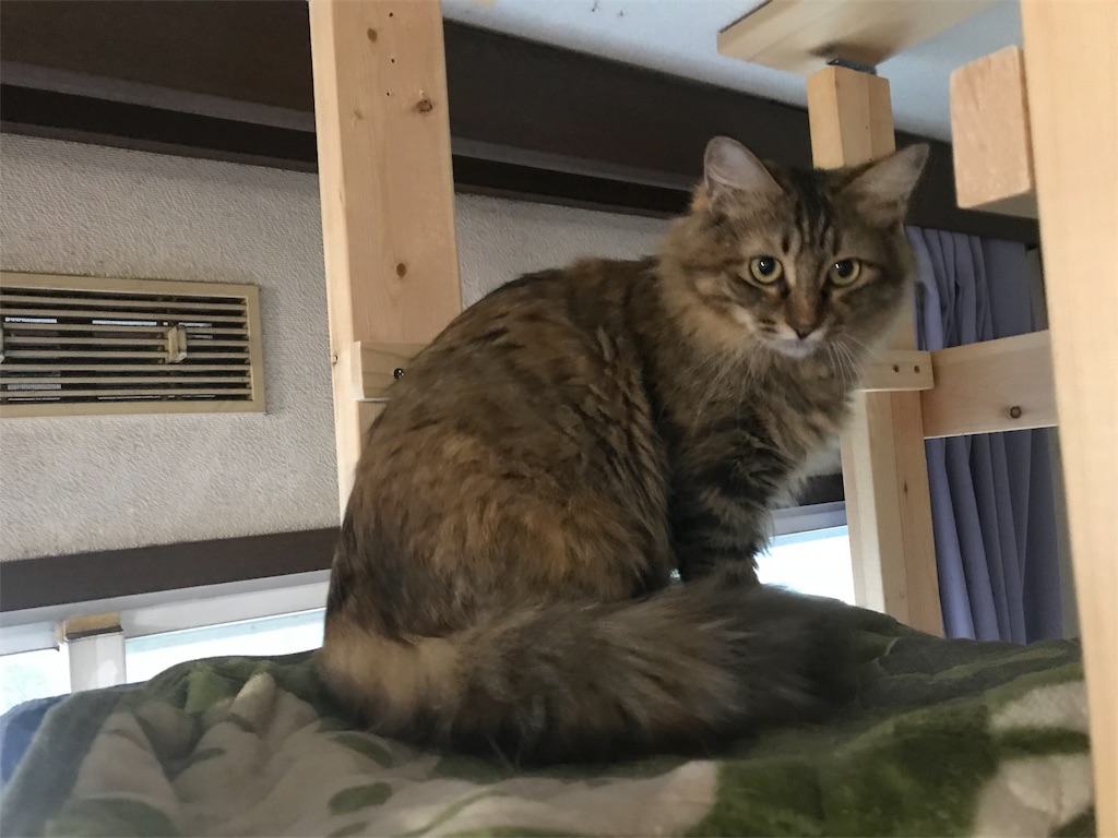 f:id:maskcat:20180530123816j:image