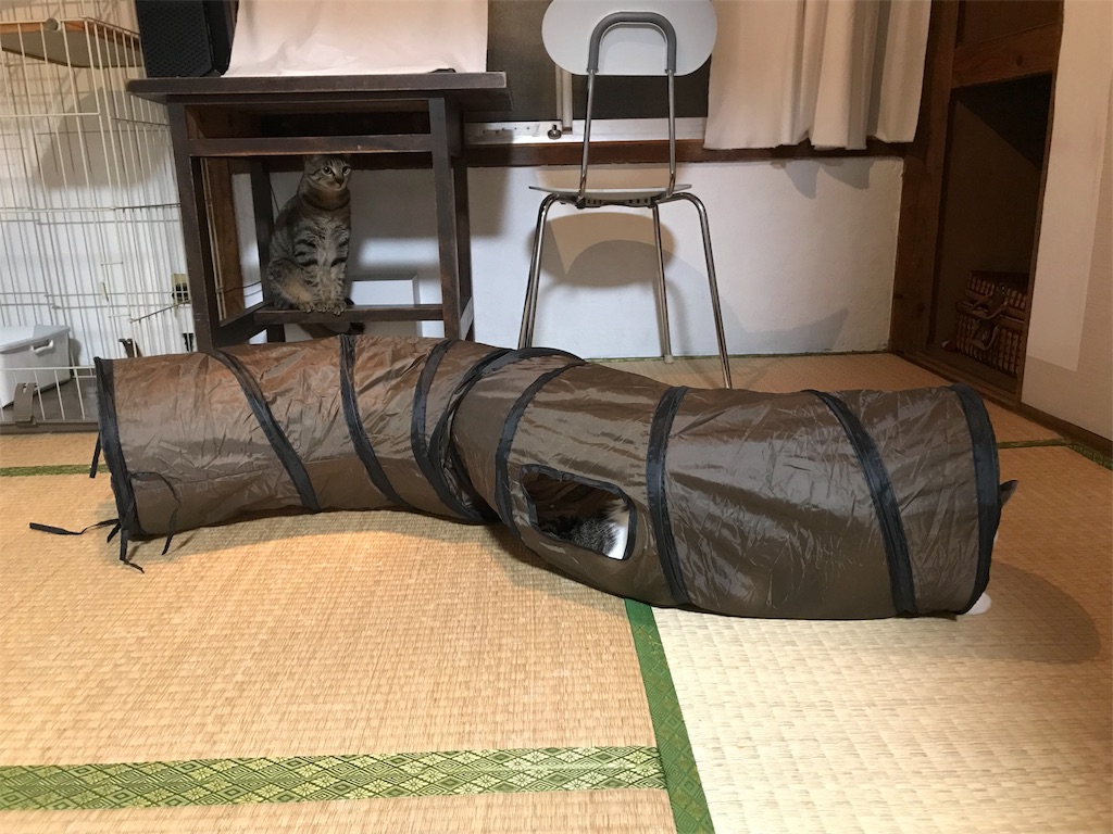 f:id:maskcat:20180819135254j:image