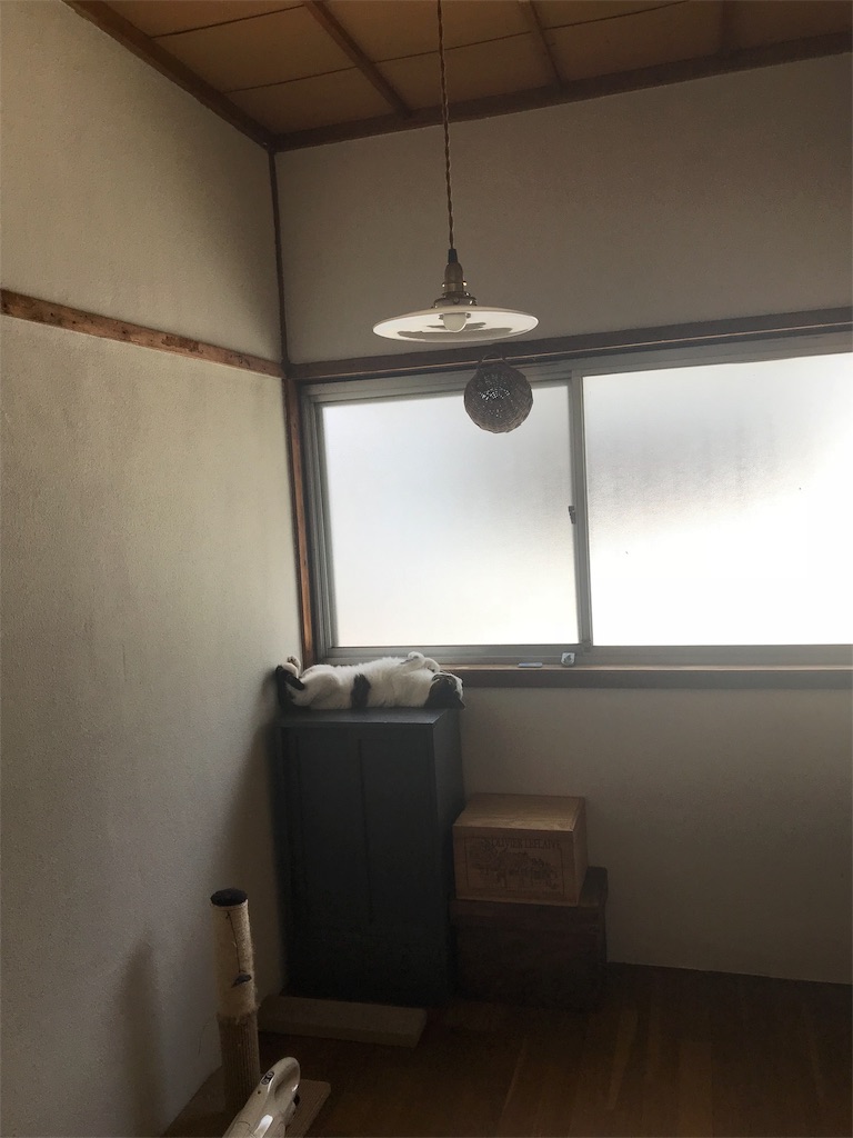f:id:maskcat:20180819203351j:image