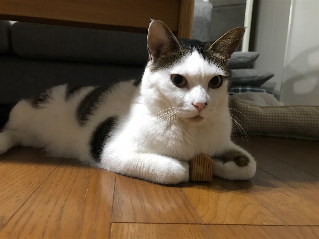 f:id:maskcat:20180819203355j:image