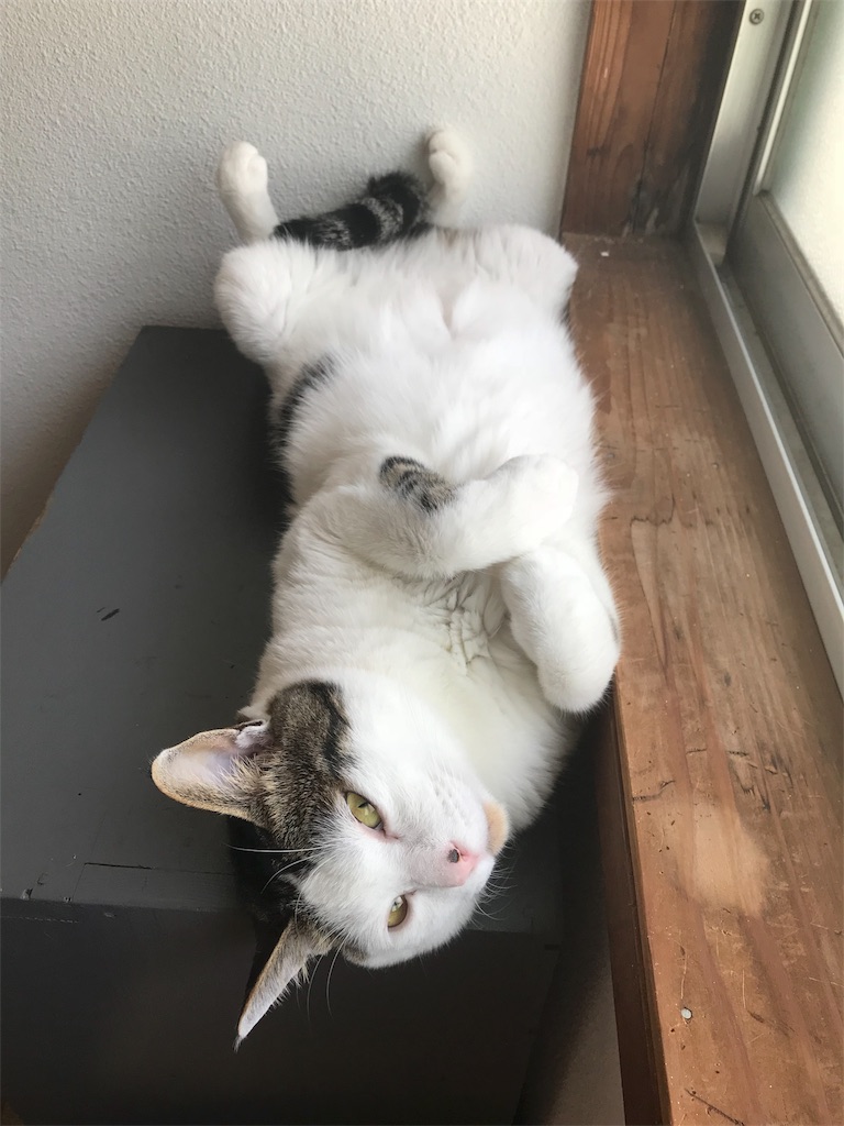 f:id:maskcat:20180819203444j:image