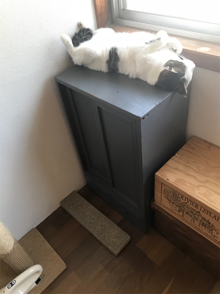 f:id:maskcat:20180819203448j:image