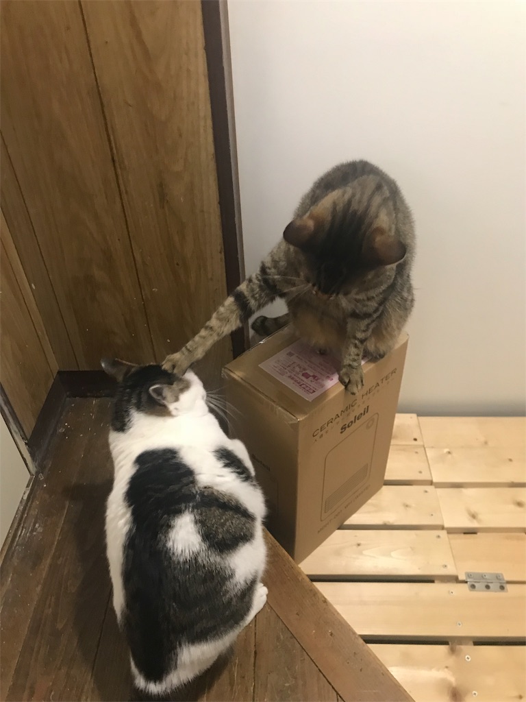 f:id:maskcat:20181228144319j:image
