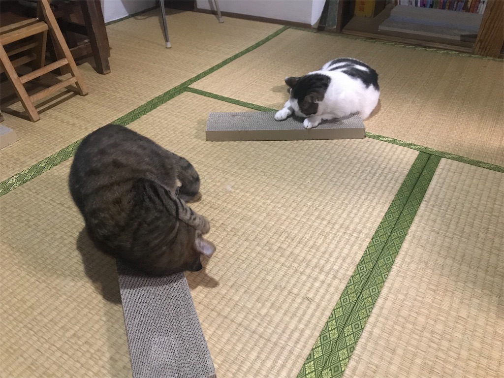 f:id:maskcat:20181228144323j:image