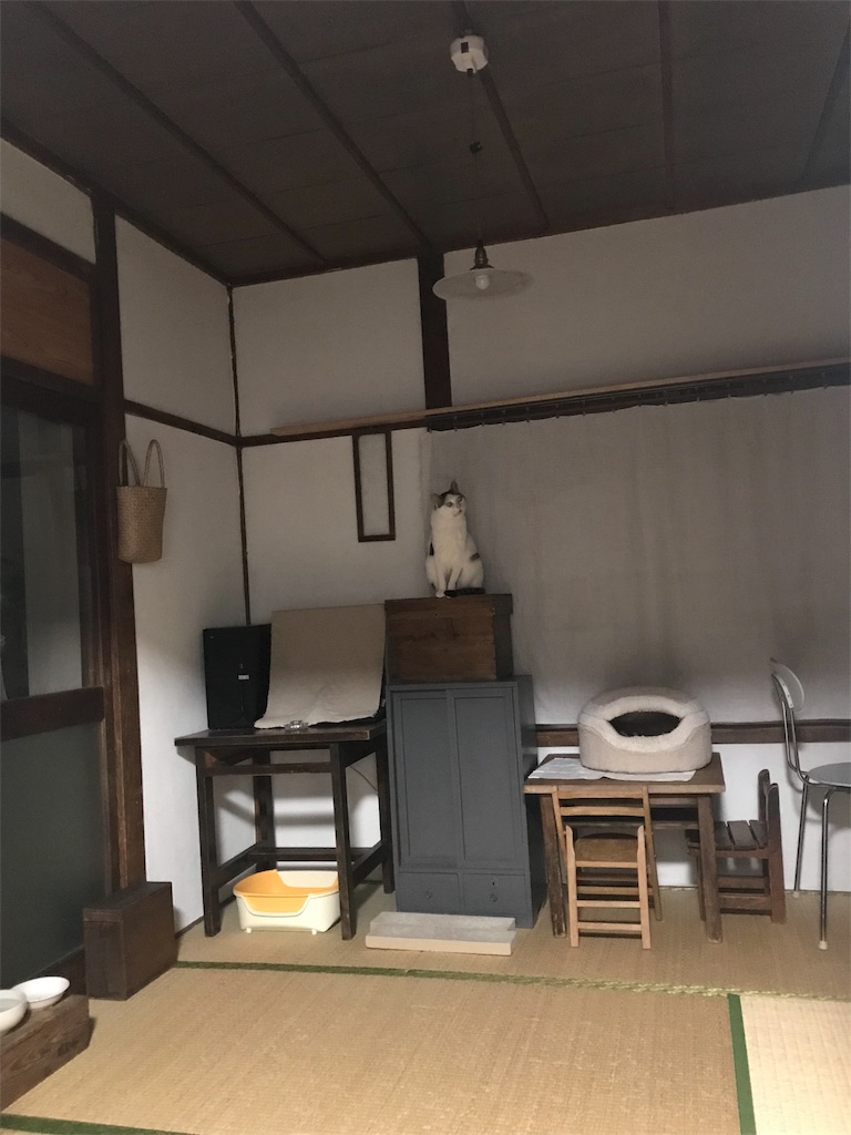 f:id:maskcat:20181228144327j:image
