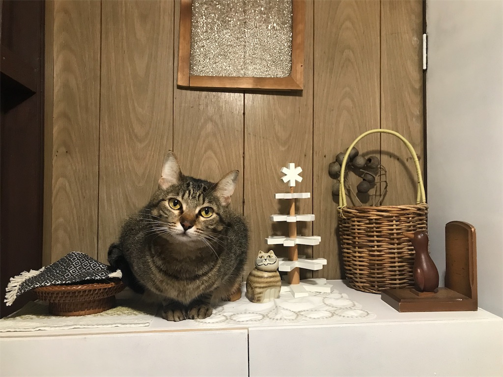 f:id:maskcat:20181228144331j:image