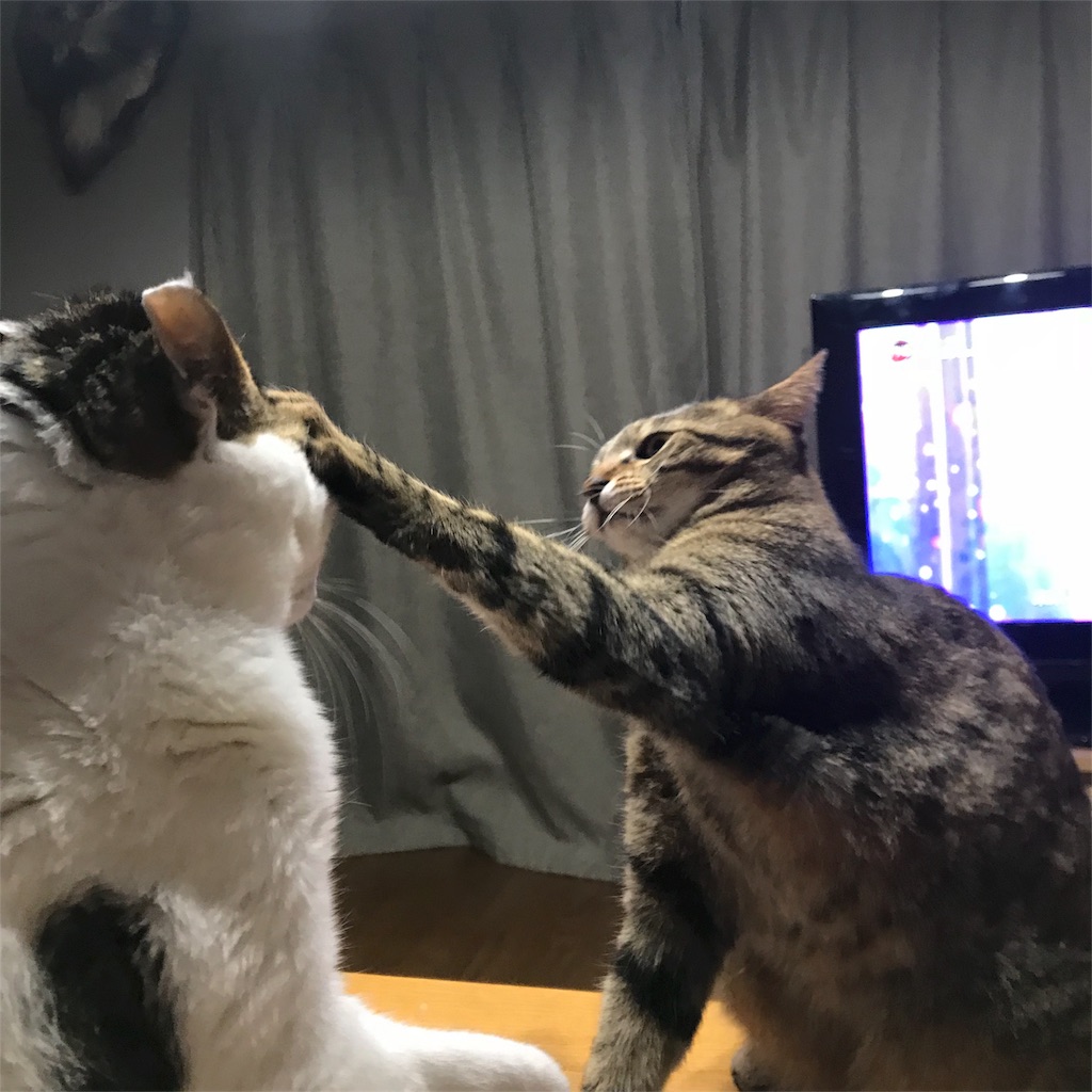 f:id:maskcat:20181228144407j:image