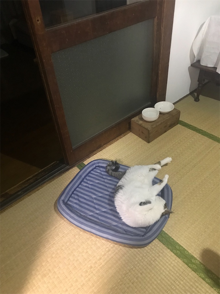 f:id:maskcat:20190915220039j:image