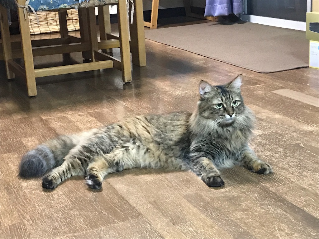 f:id:maskcat:20190916114729j:image