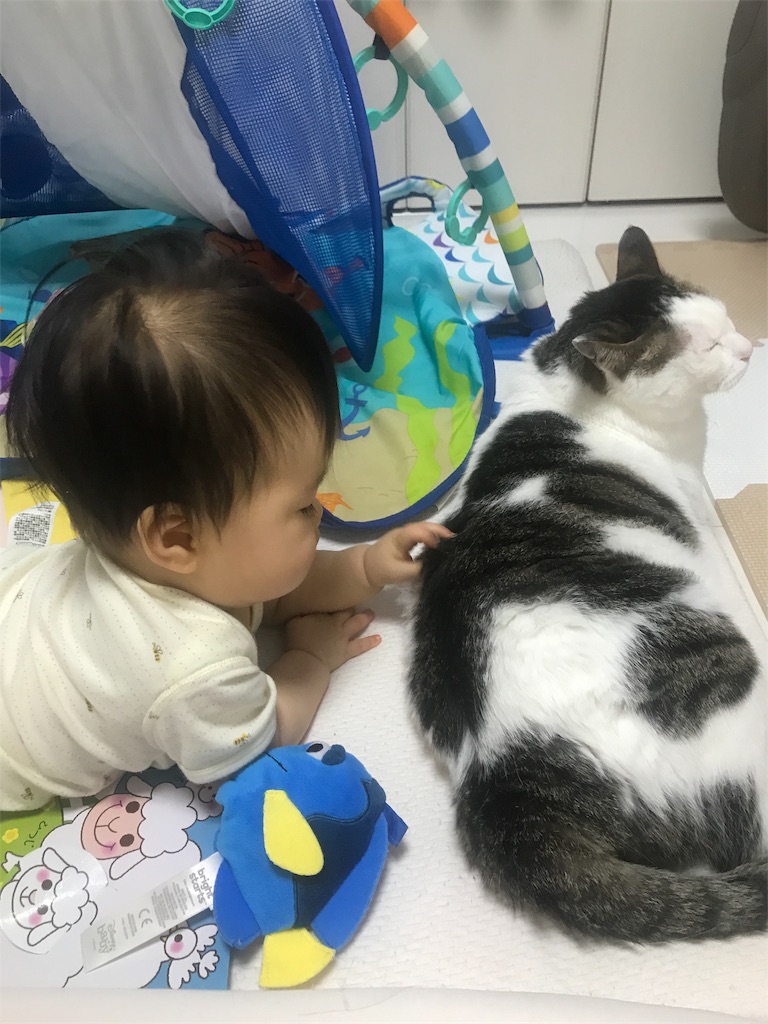 f:id:maskcat:20210903204735j:image