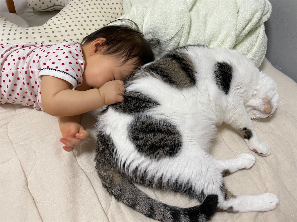f:id:maskcat:20210903204742j:image