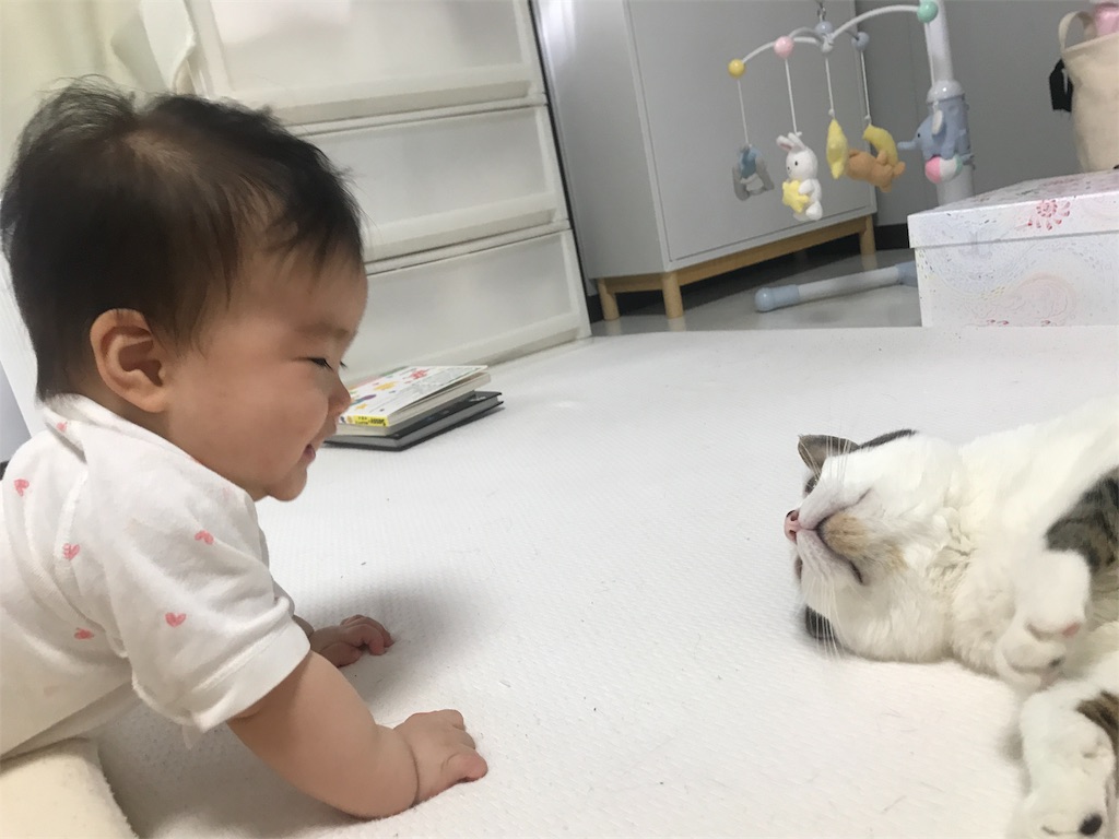 f:id:maskcat:20210903204917j:image