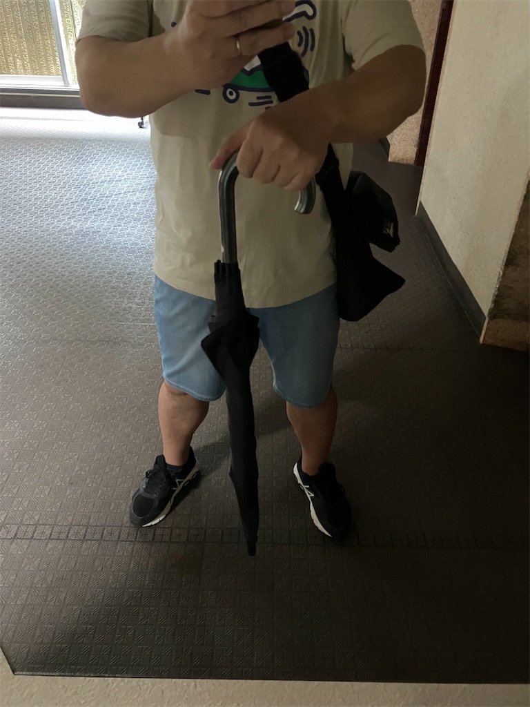 f:id:maskednishioka:20240829083440j:image