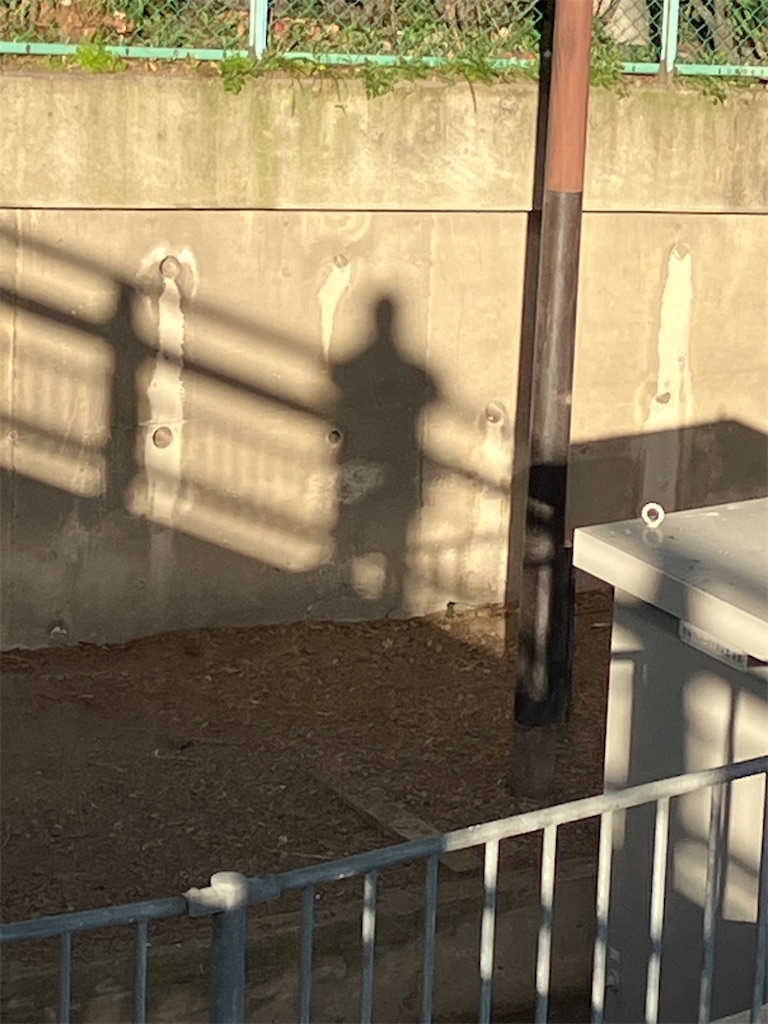 f:id:maskednishioka:20250208151250j:image
