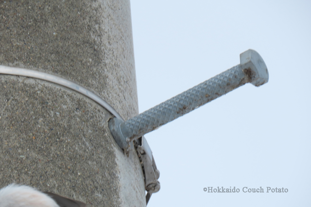 f:id:maskedtranslator:20200207123431j:plain