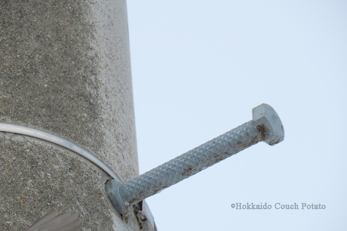 f:id:maskedtranslator:20200207123500j:plain