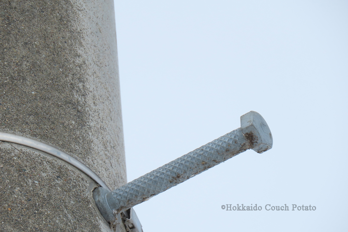 f:id:maskedtranslator:20200207123522j:plain