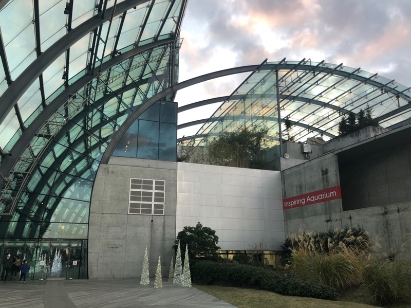 f:id:masos:20190130221308j:plain f:id:masos:20190130221308j:plain