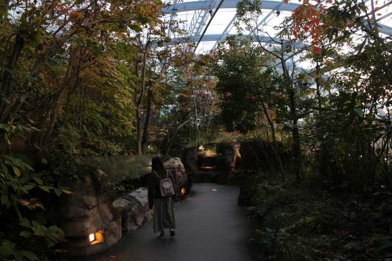 f:id:masos:20190130221328j:plain f:id:masos:20190130221328j:plain