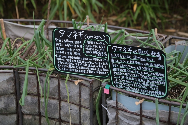 f:id:masos:20190130221329j:plain f:id:masos:20190130221329j:plain