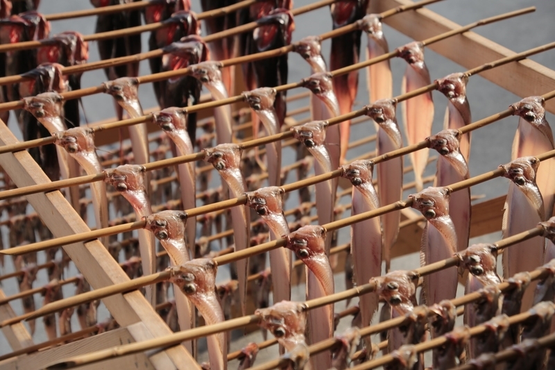 f:id:masos:20190130221336j:plain f:id:masos:20190130221336j:plain