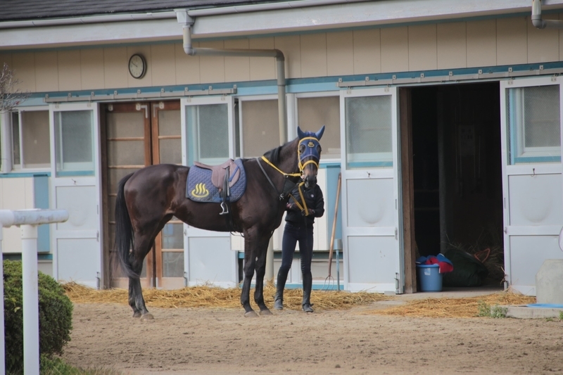 f:id:masos:20190130221356j:plain f:id:masos:20190130221356j:plain