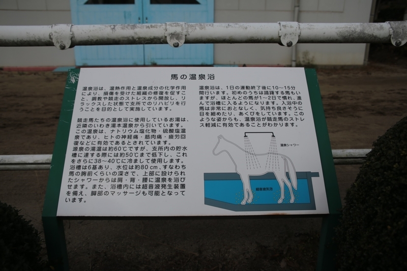 f:id:masos:20190130221357j:plain f:id:masos:20190130221357j:plain