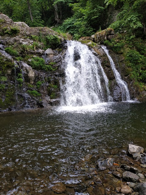 f:id:massaan:20210621211731j:image