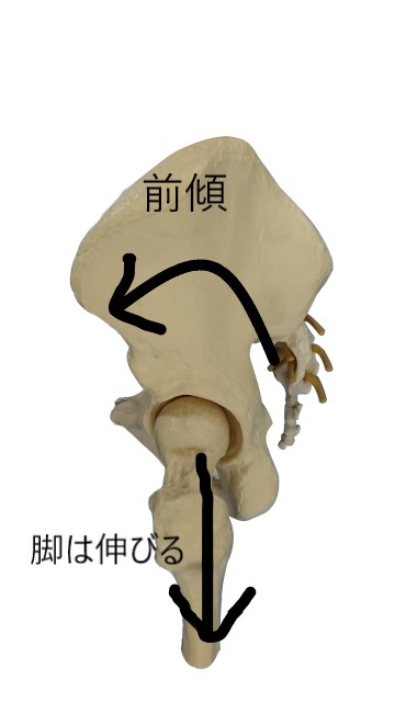 f:id:massadayo:20190211181432j:plain f:id:massadayo:20190211181432j:plain