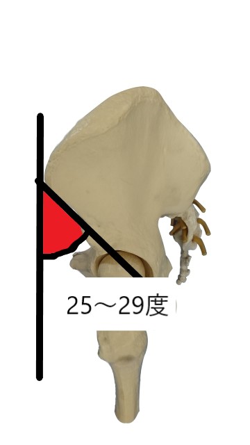 f:id:massadayo:20190211192541j:plain f:id:massadayo:20190211192541j:plain