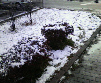 20070202_1.jpg