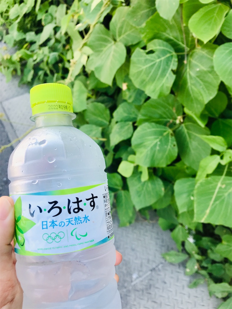 f:id:massan0613:20210725041545j:image f:id:massan0613:20210725041545j:image