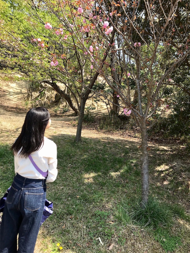 f:id:massan0613:20220410152015j:image