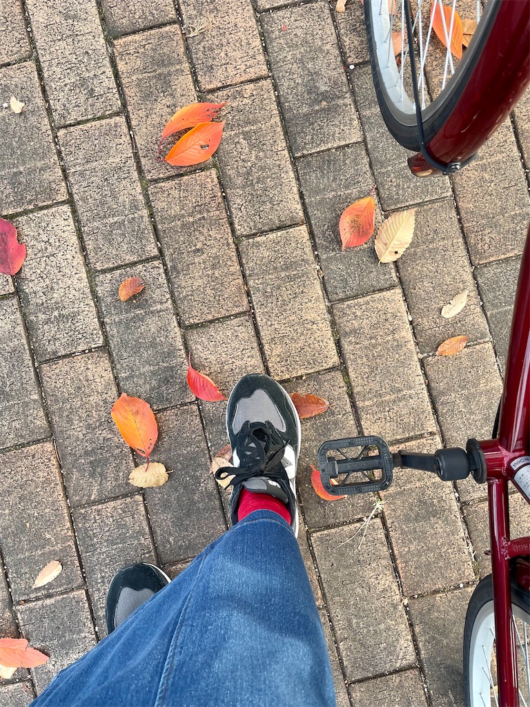 f:id:massan0613:20231124045030j:image f:id:massan0613:20231124045030j:image