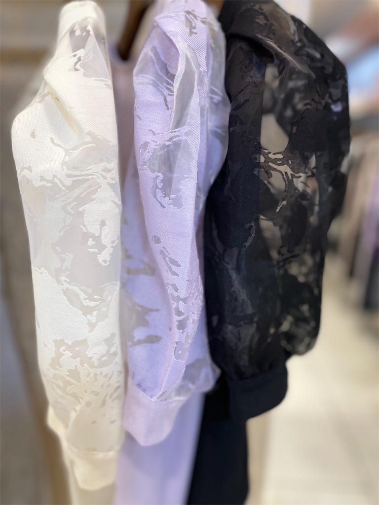 f:id:massan0613:20240415141627j:image