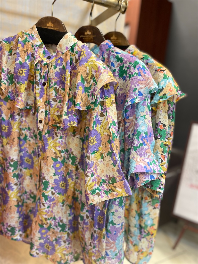 f:id:massan0613:20240613050015j:image