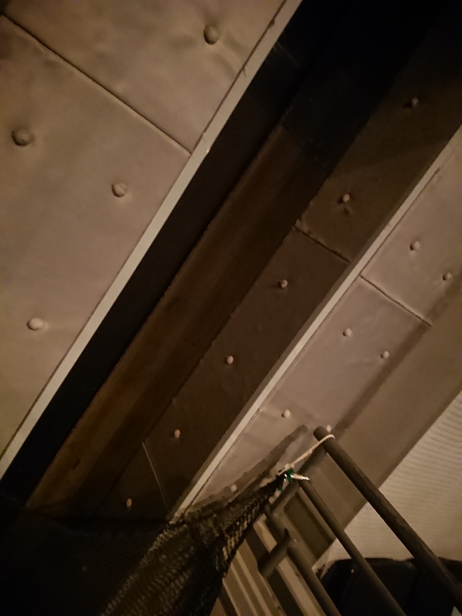 f:id:masshiroBlanc:20191128233842j:plain f:id:masshiroBlanc:20191128233842j:plain