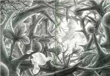f:id:massimo33:20090927022026j:image f:id:massimo33:20090927022026j:image