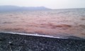  千本浜の赤潮。赤すぎる。
