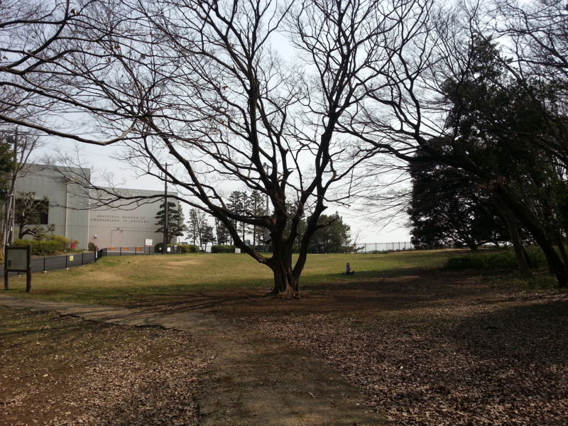 f:id:massneko:20130310124109j:plain