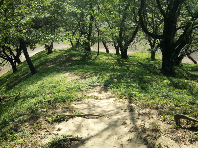 f:id:massneko:20130503153442j:plain f:id:massneko:20130503153442j:plain