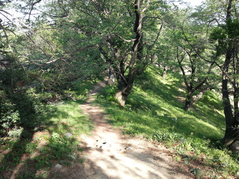 f:id:massneko:20130503153509j:plain f:id:massneko:20130503153509j:plain