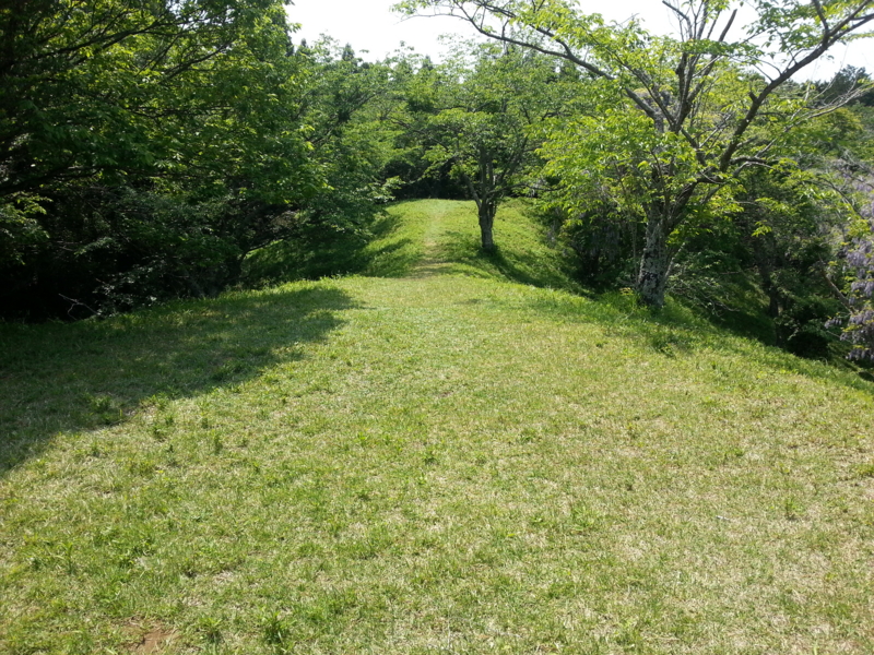 f:id:massneko:20130505124505j:plain