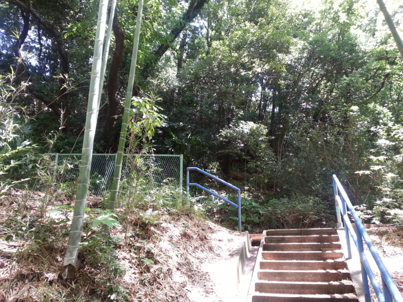 f:id:massneko:20130531103020j:plain