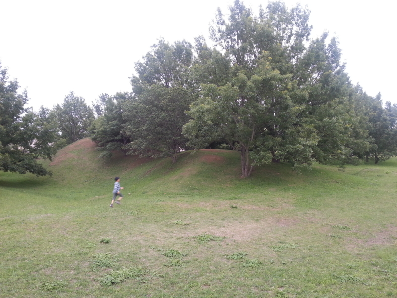 f:id:massneko:20130609181104j:plain