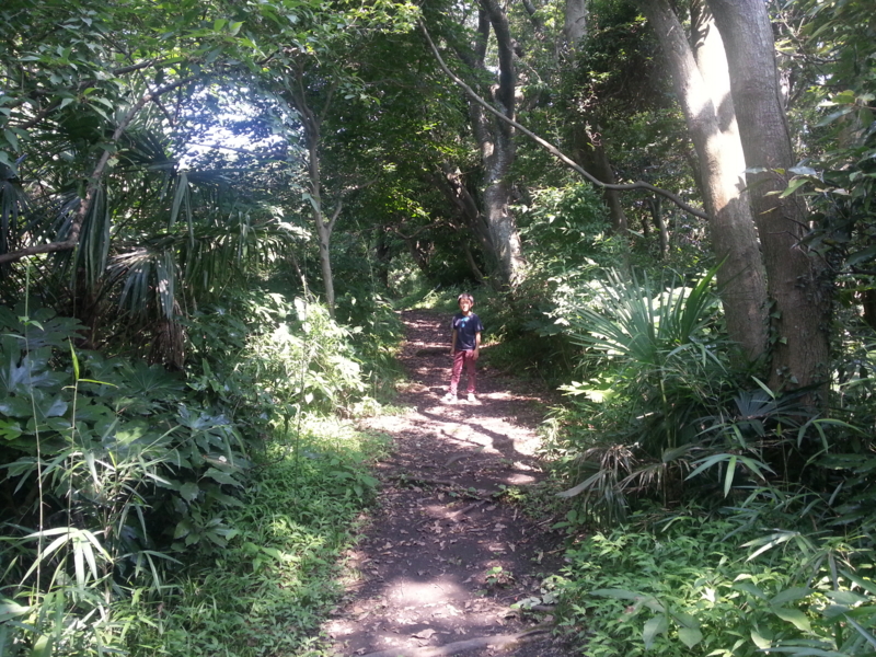 f:id:massneko:20130629142753j:plain